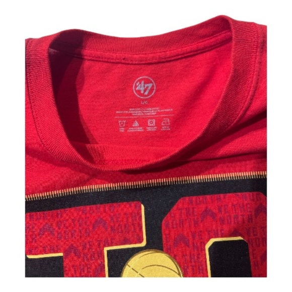 Toronto Raptors NBA 2019 Basketball Champions Short Sleeve Red T Shirt L - Picture 3 of 7
